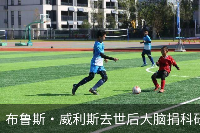 布鲁斯·威利斯去世后大脑捐科研 家人确认用于FTD研究